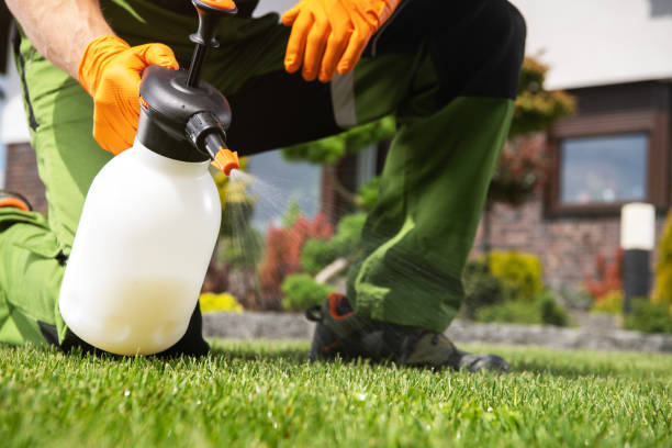 Best Affordable Pest Control Services  in Heeia, HI